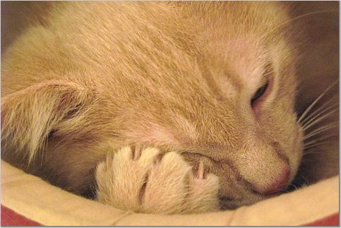 catme.jpg