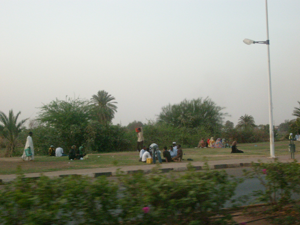 s7301385.JPG