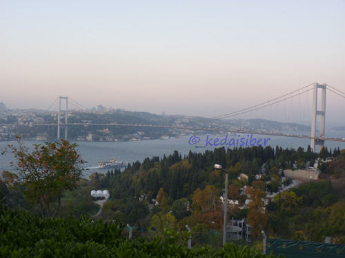 bridgetoasia bridgetoasia
