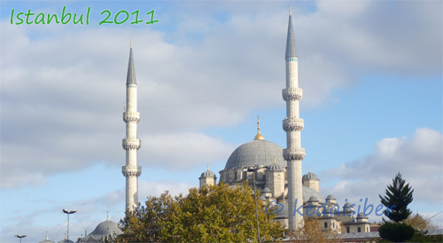 mosque500 mosque500